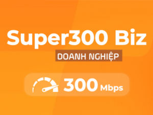 Gói cước Super300 Biz